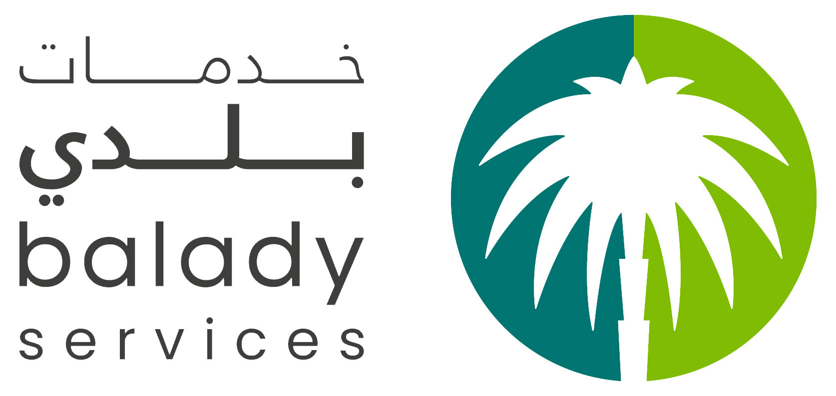صورة تصنيف المهن البلدية